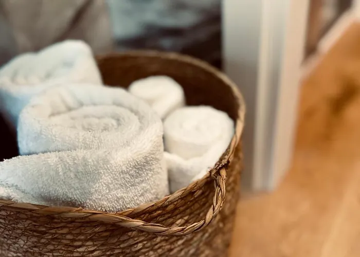 Residenza Ximenes 公寓 巴勒莫